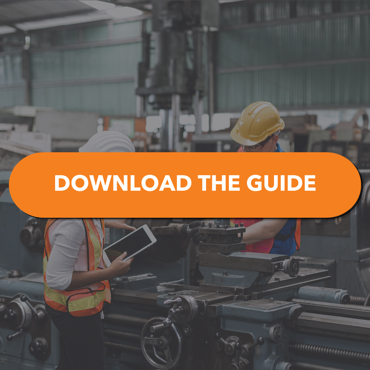 DOWNLOAD THE GUIDE